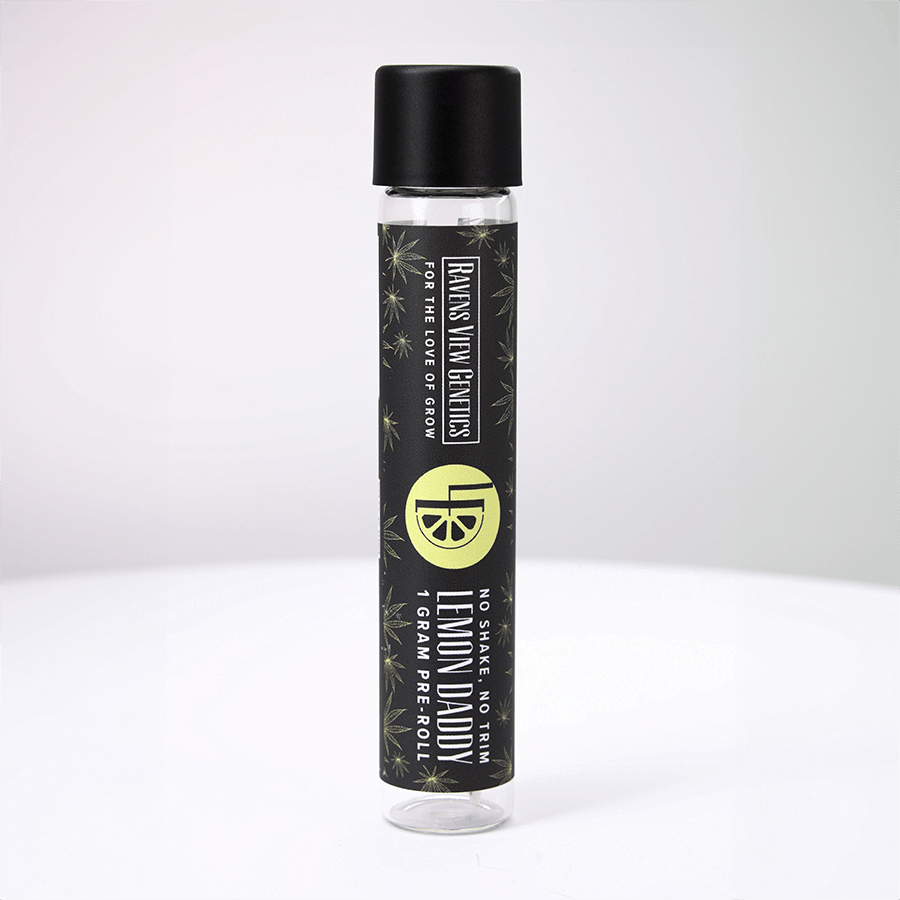 Lemon Daddy 1 Gram Pre-Roll