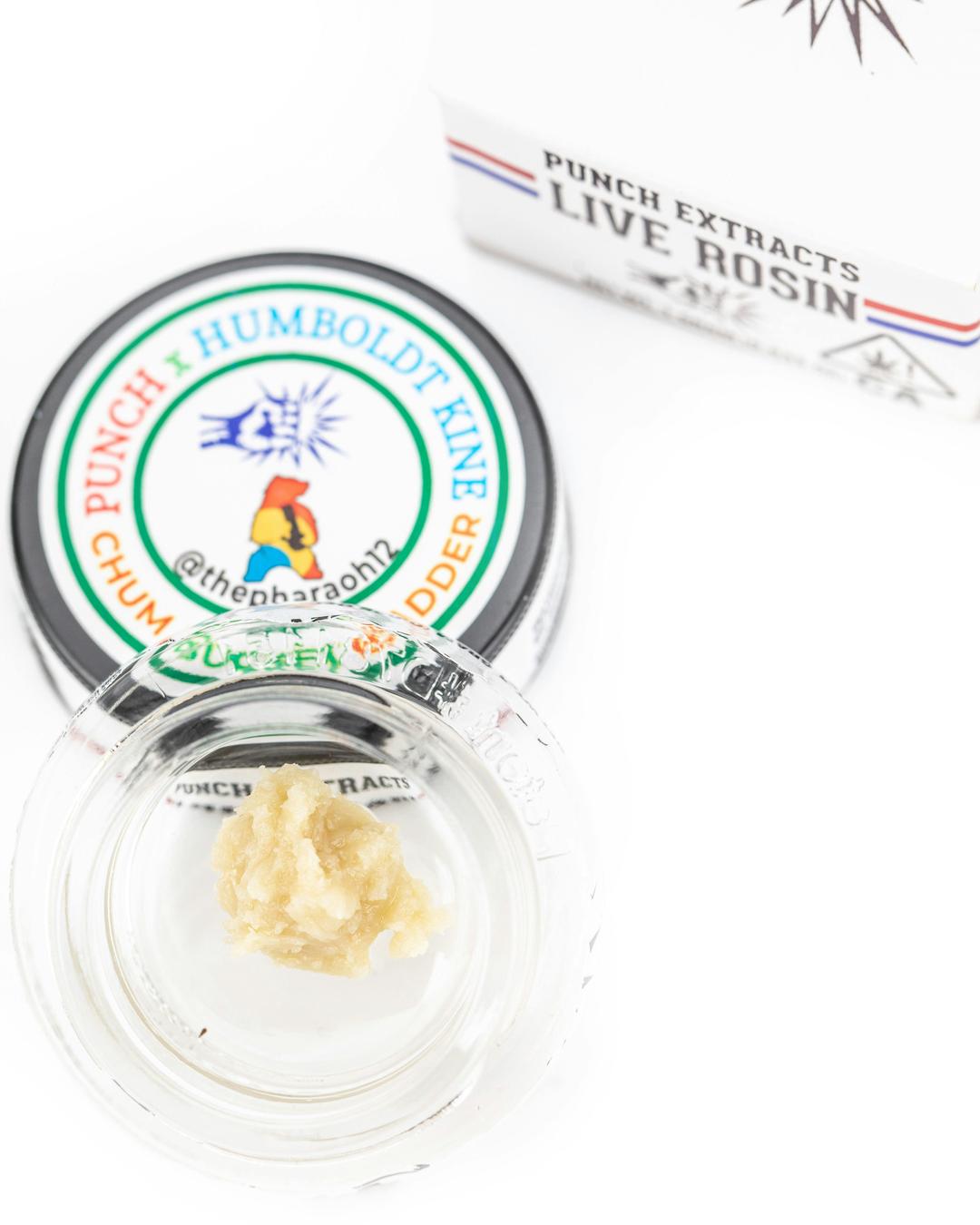 Punch - Live Rosin - Chum Bucket - Badder - Tier 2