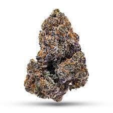 LEMON CHERRY GELATO