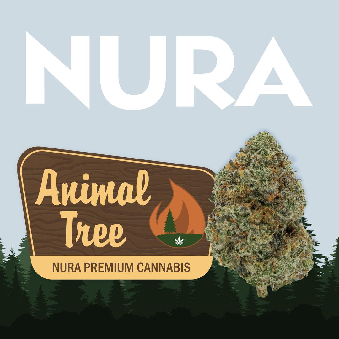 Animal Tree