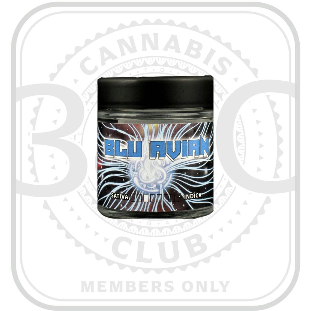3C | Blu Avian - 8th (Members Only Pricing)