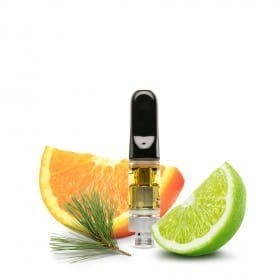Big Pine Key Cartridge