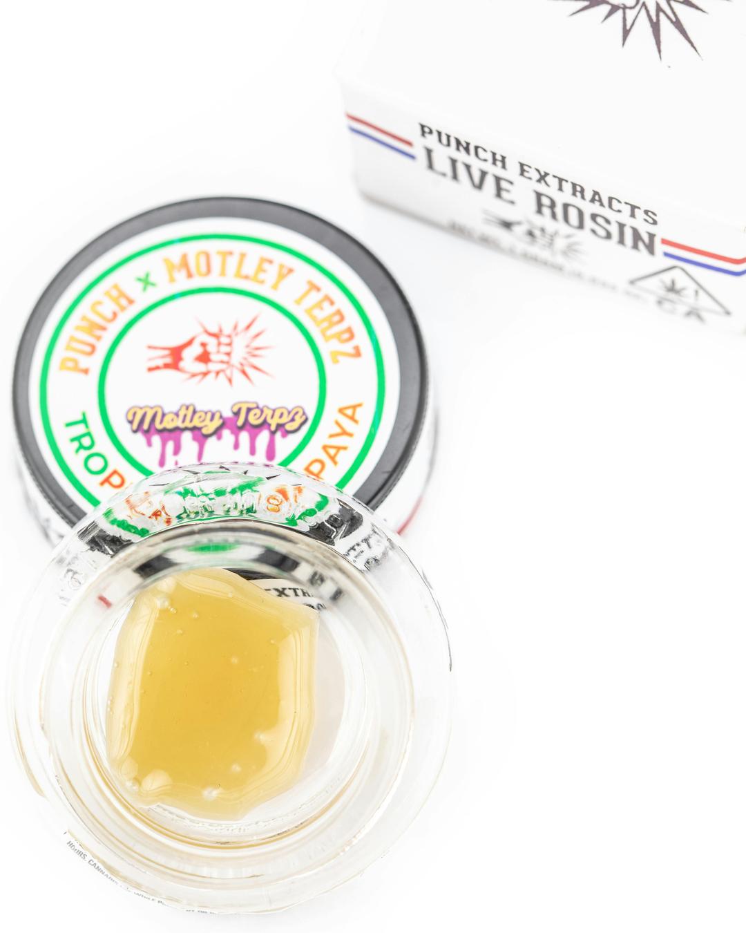 Punch - Live Rosin - Tropicanna Papaya - Tier 4