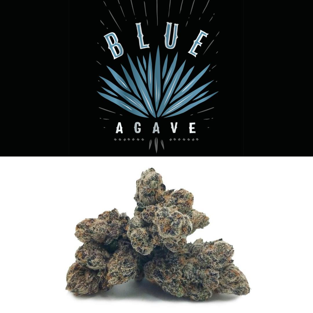 Blue Agave