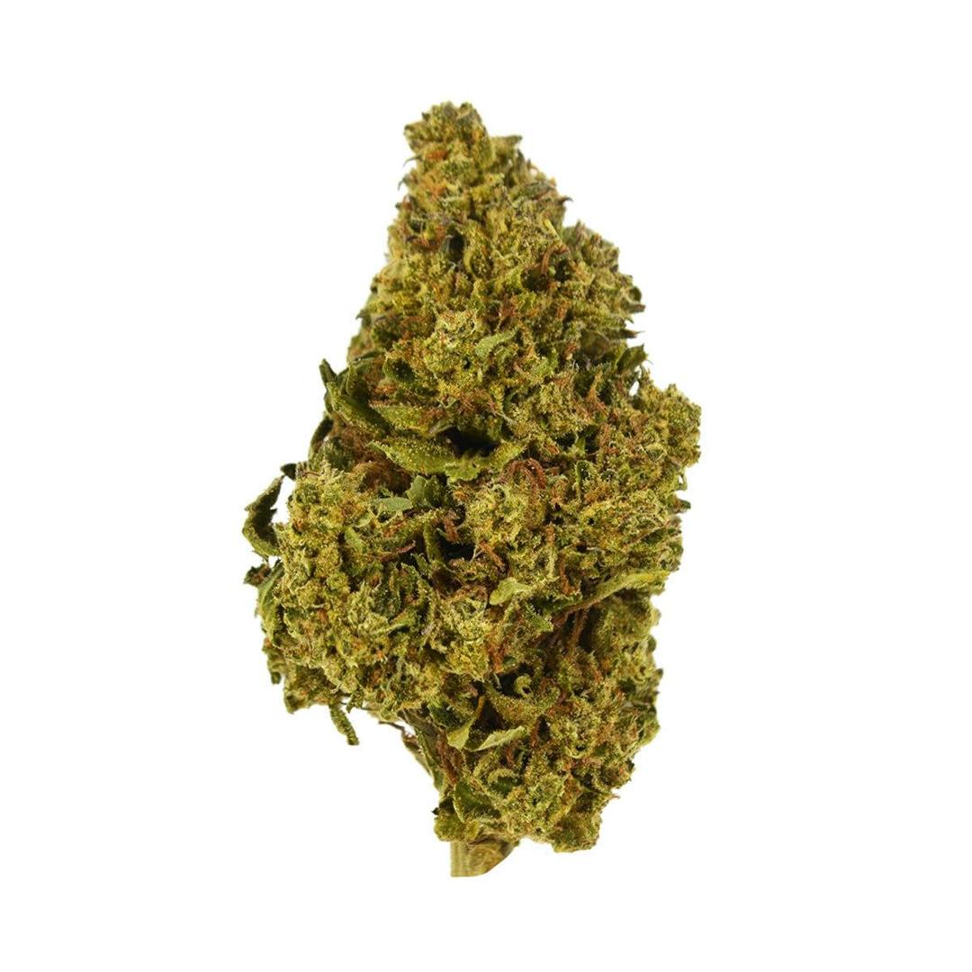 Exotix - Mendo Crumble (H) - 14g