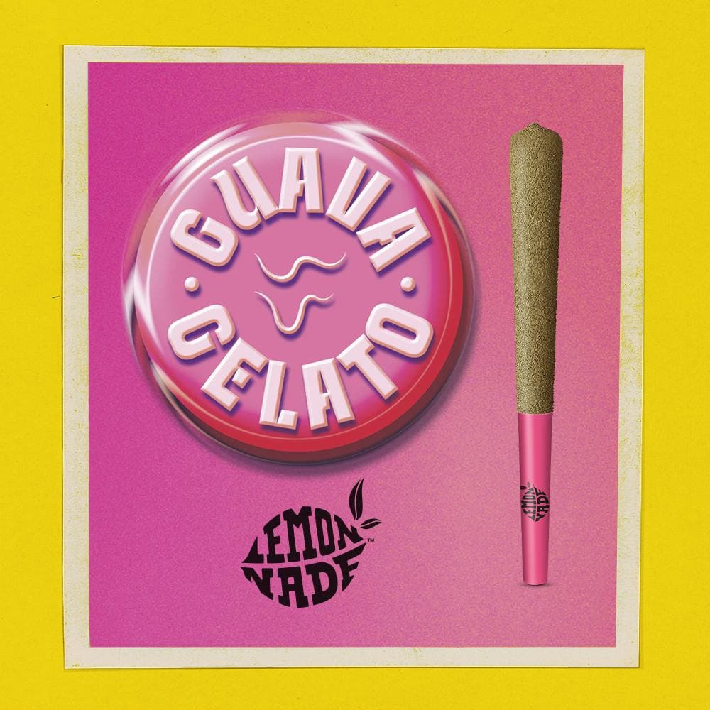 Lemonnade - 1G Infused Pre Roll - Guava Gelato