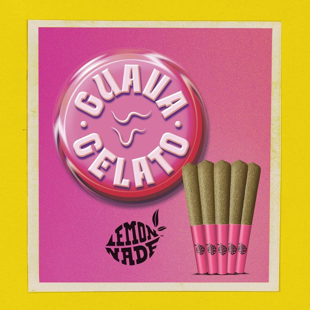 Lemonnade - 5PK Infused Pre Rolls - Guava Gelato