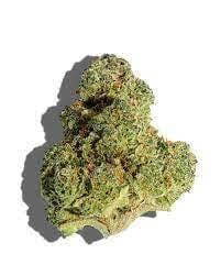 WHITE APPLE TARTZ