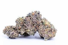 GELATO 41 34.9%
