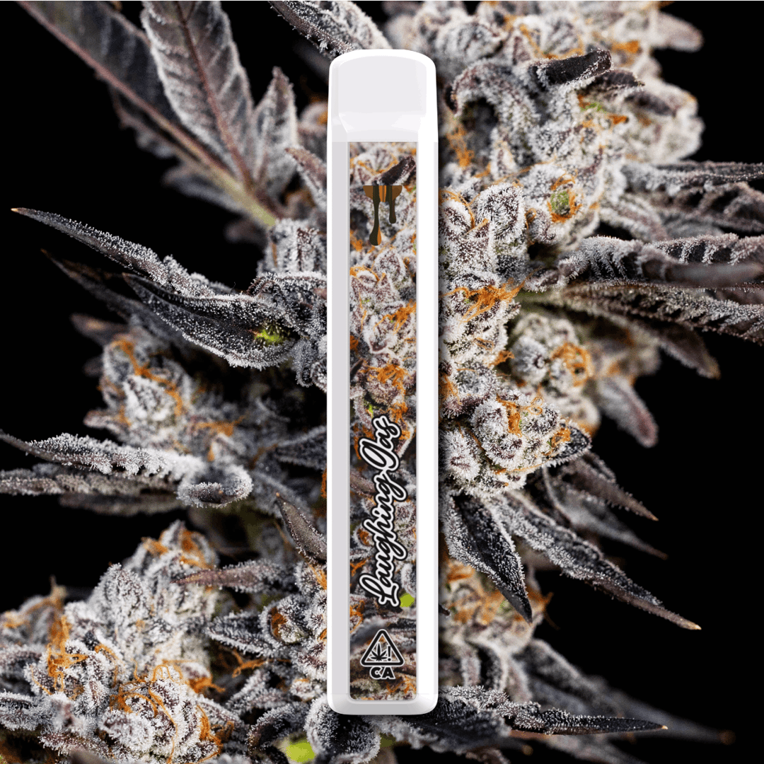 Cryo-Cured Live Resin - Laughing Gas - 1G Disposable