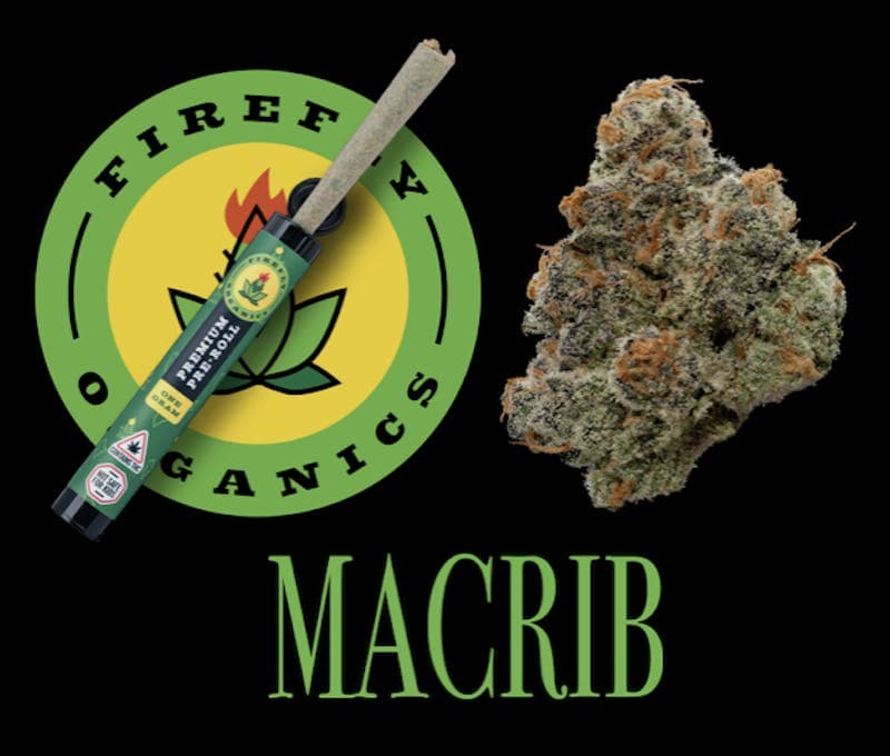 MacRib - 1g PreRoll