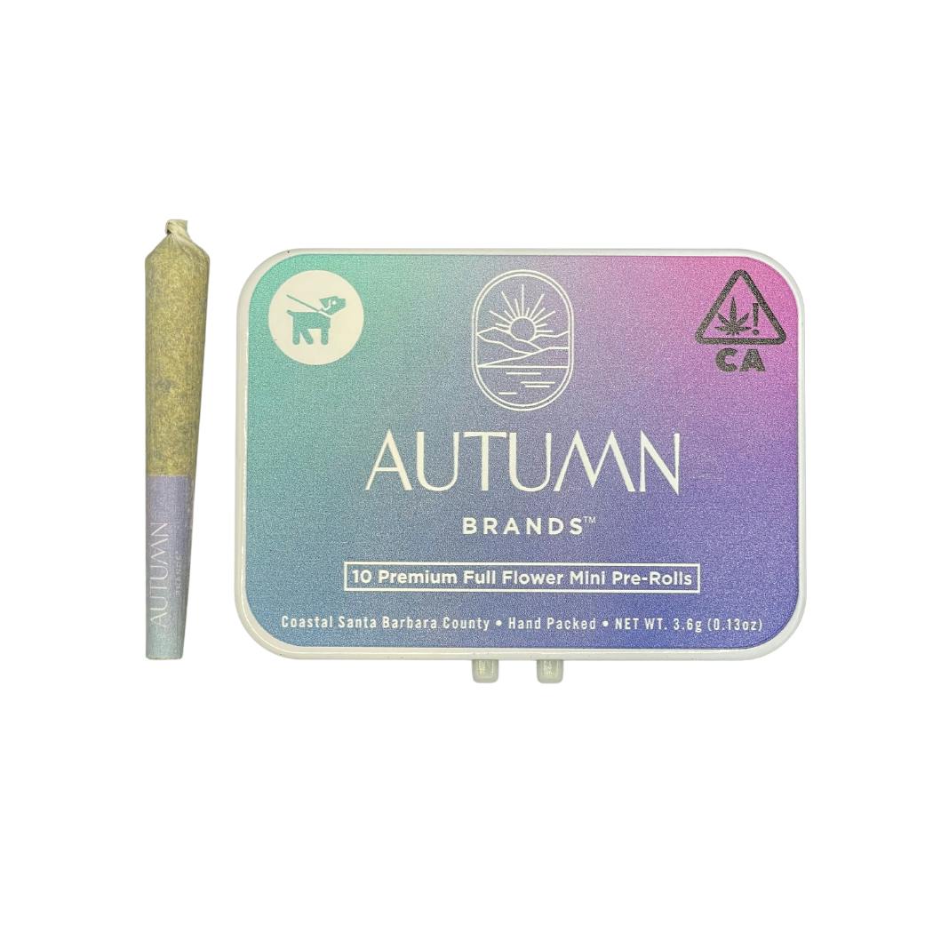 Presha 10pk Mini Prerolls