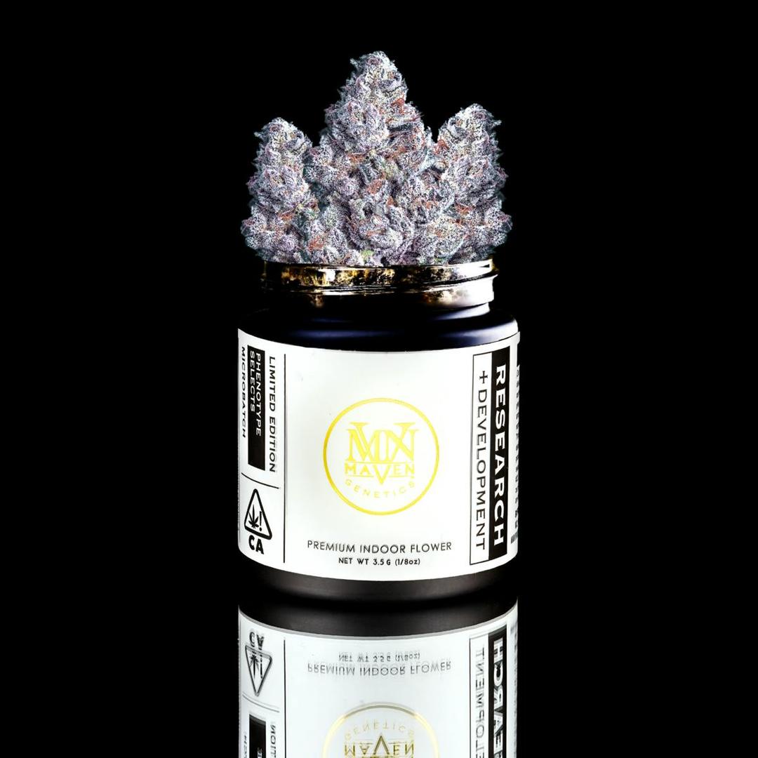 Lemon Cherry Gelato x Blueberry ZKZ #9
