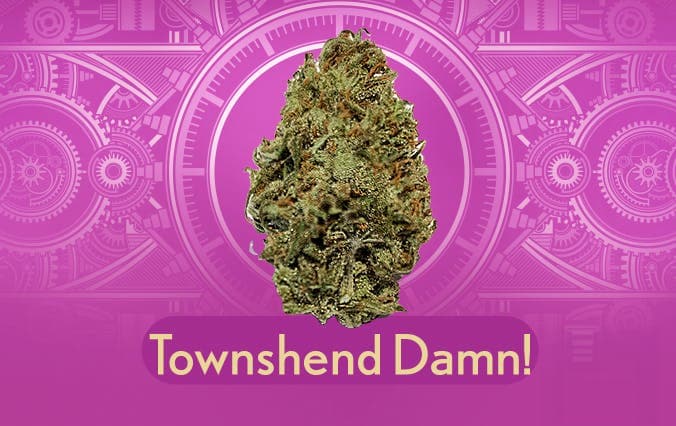 Townshend Damn!