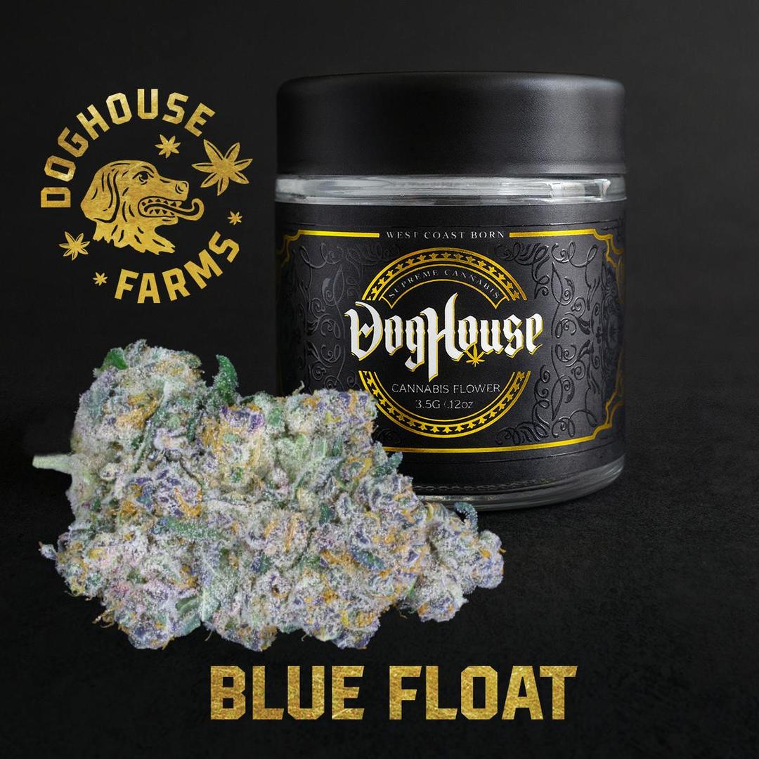 Blue Float - Flower - Indica