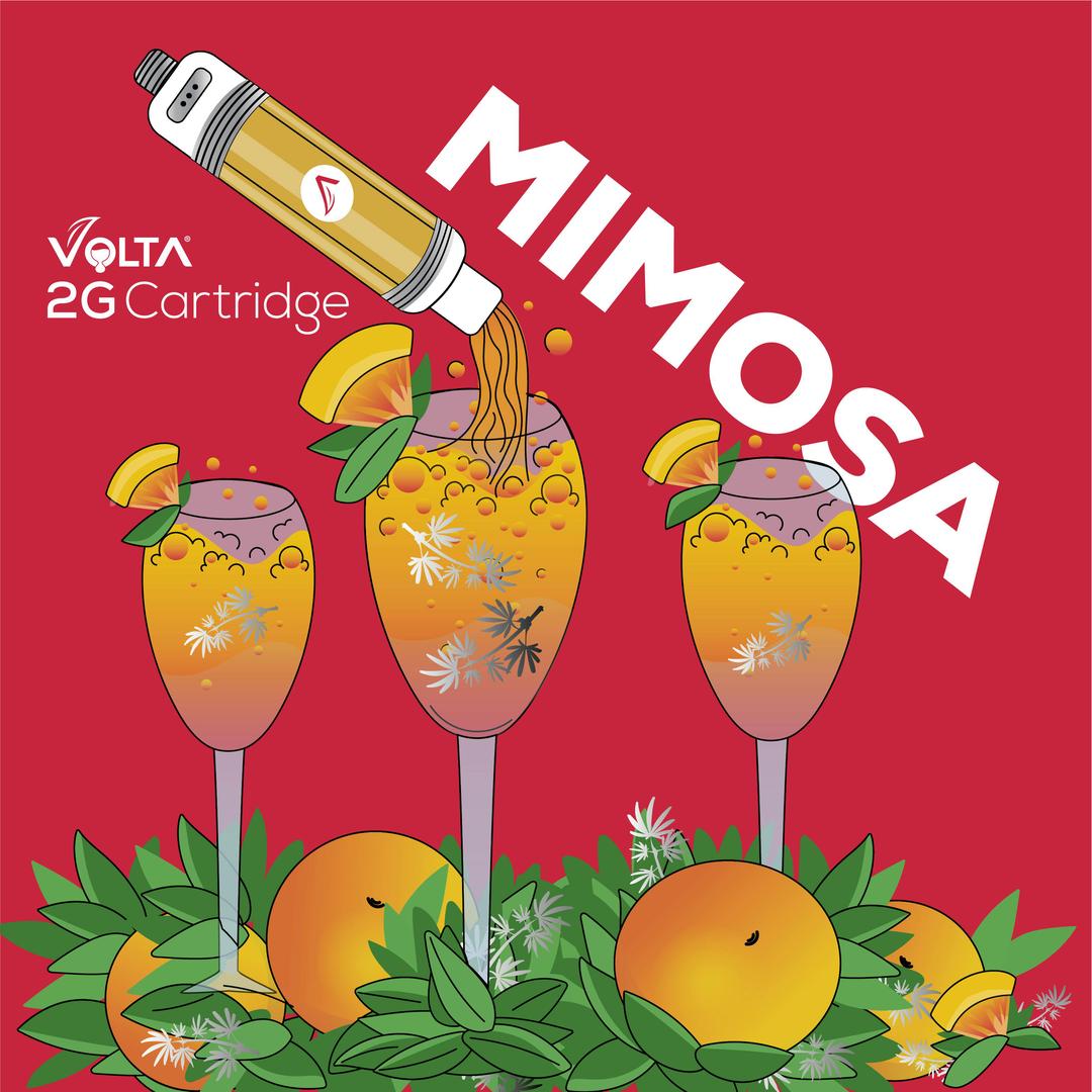 2G Cartridge | Mimosa