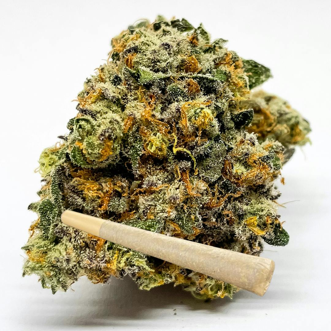 Hell Billy 1g Pre-Roll