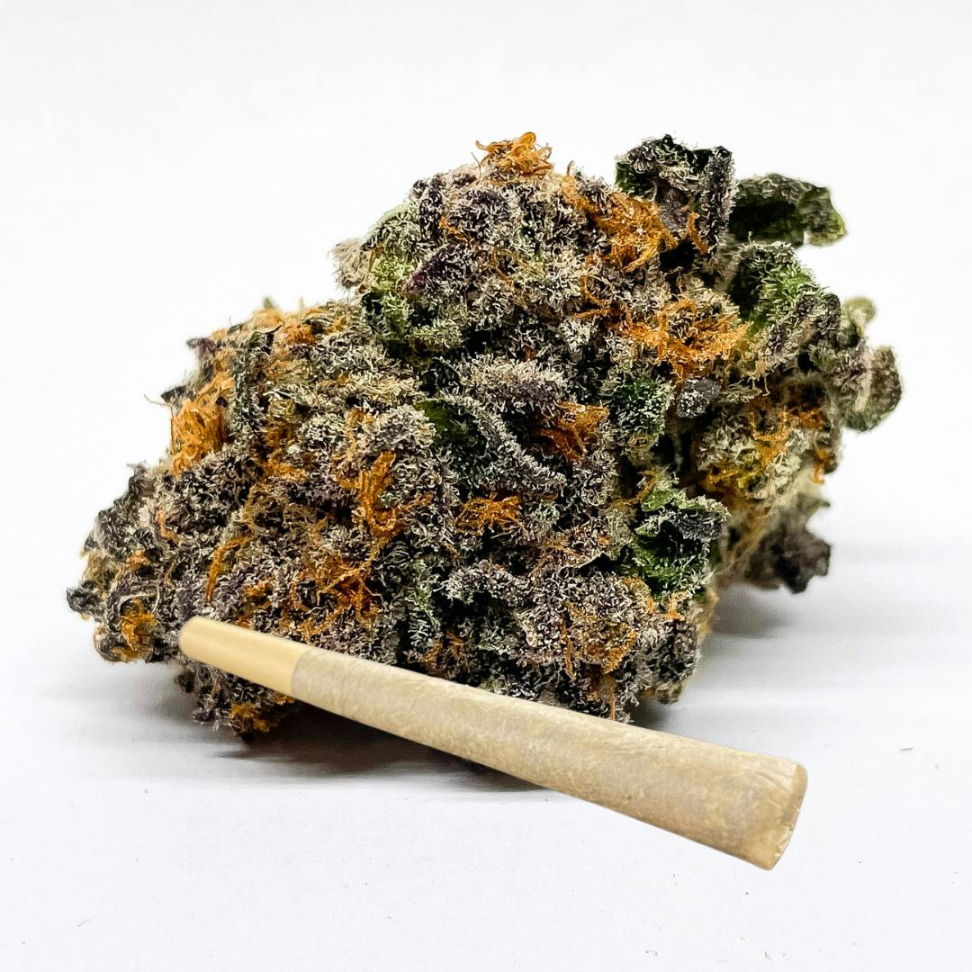 Rotten Rozay 1g Pre-Roll