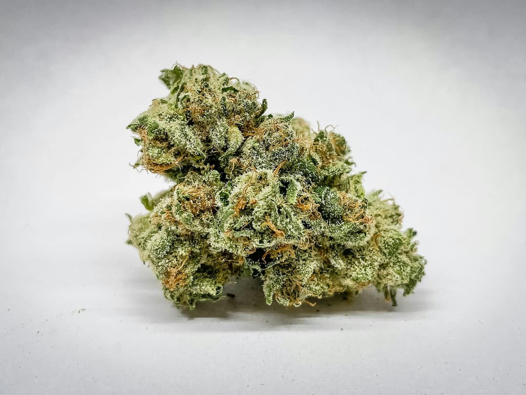 Lemon Meringue 3.5g Flower