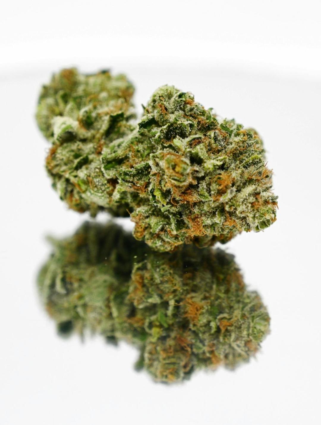 Lemon Tree | Flower | Lemon Tree | Premium Flower | Hybrid | 3.5G