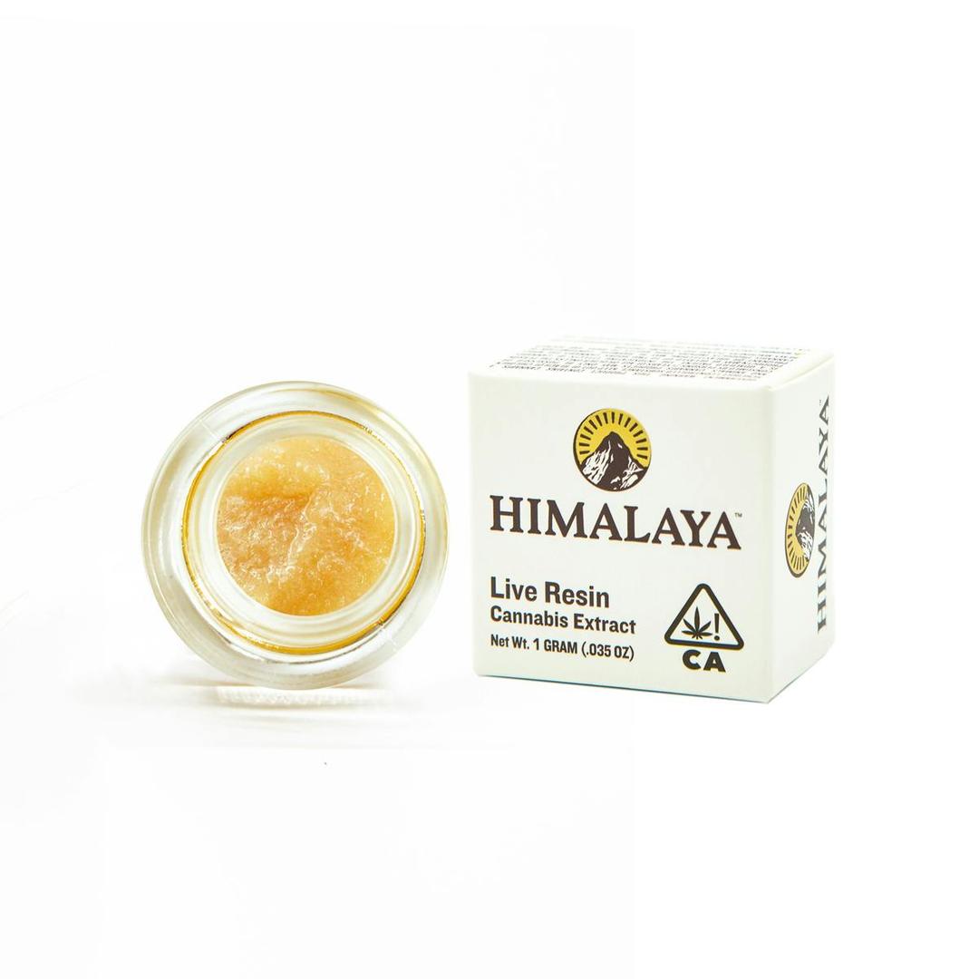 GMO Rootbeer (Live Resin Concentrate) -1G