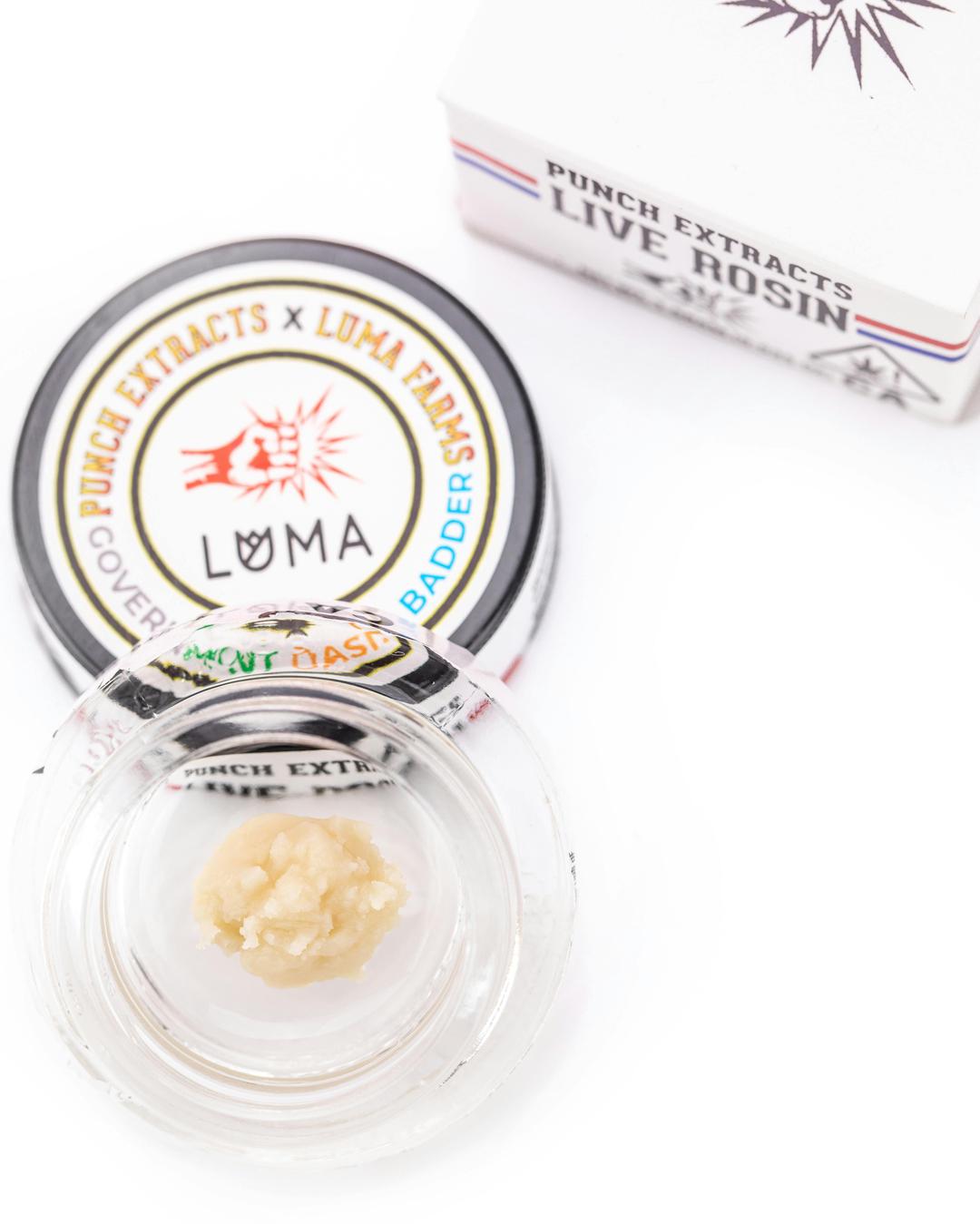 Punch - Live Rosin - Governmint Oasis - Badder - Tier 2