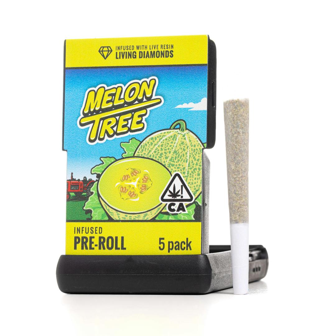 Infused Pre-Roll | Melon Tree | Live Resin Infused Pre-Roll | 3.5G