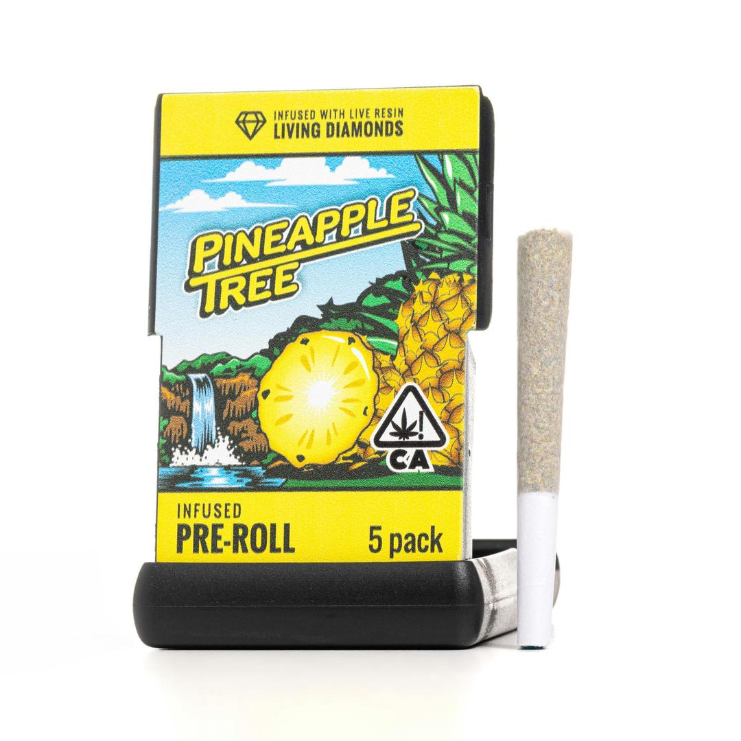 Infused Pre-Roll | Pineapple Tree | Live Resin Infused Pre-Roll | 3.5G