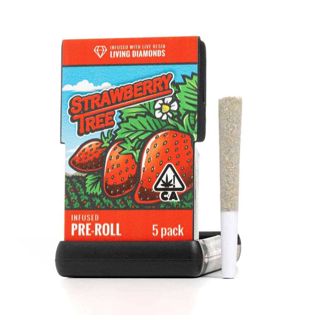Infused Pre-Roll | Strawberry Tree | Live Resin Infused Pre-Roll | 3.5G