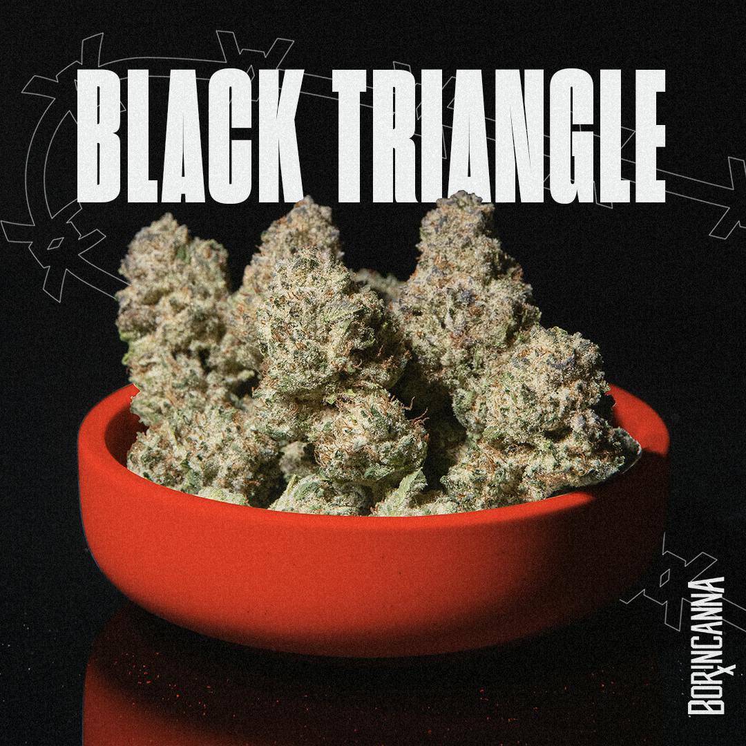 Black Triangle