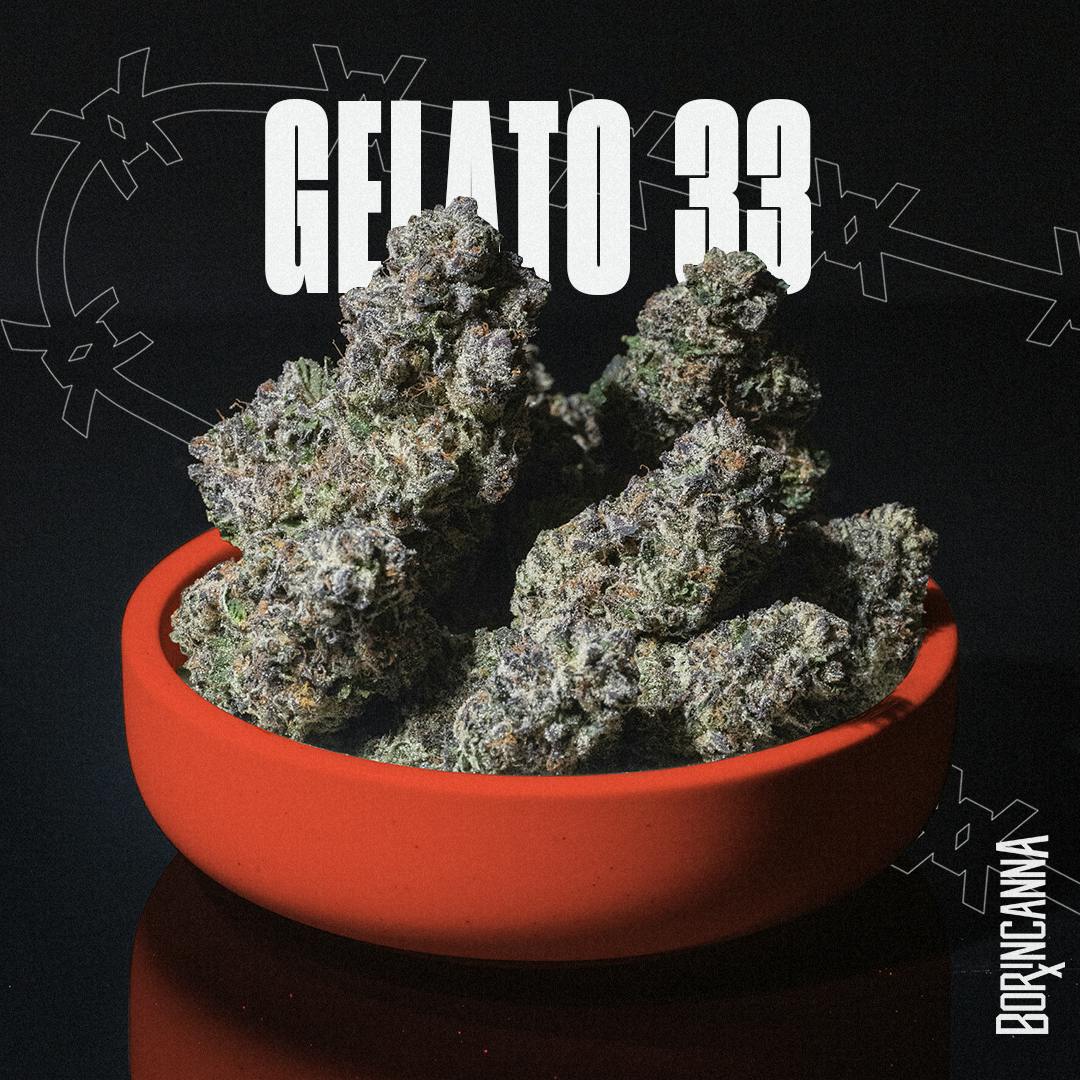 Gelato 33