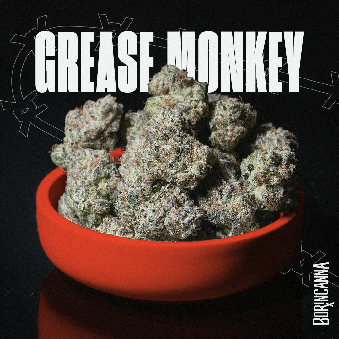 Grease Monkey