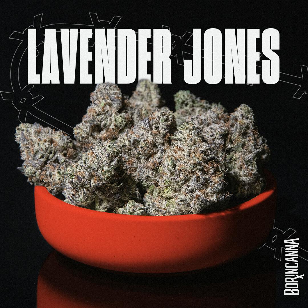 Lavender Jones