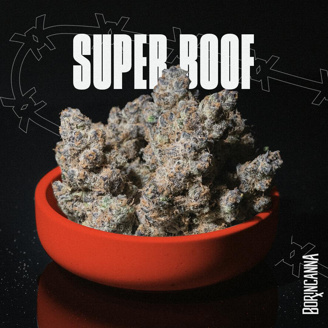 Super Boof