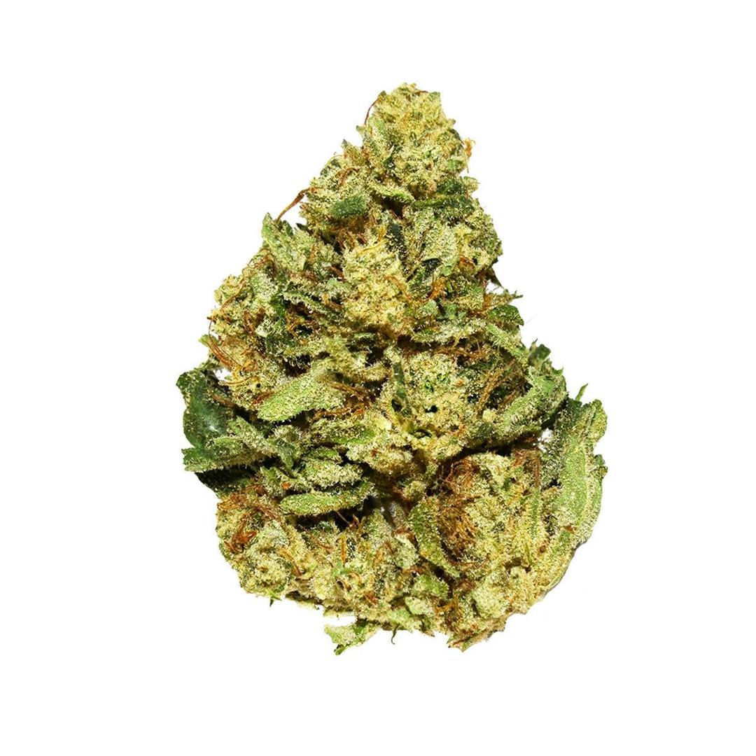 Signature - Ron Burgundy (S) - 28g