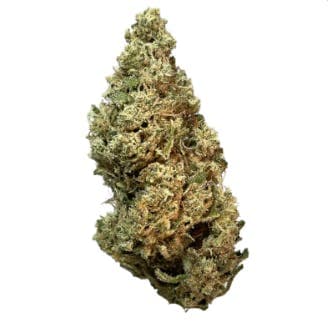 Exclusive - Jack The Ripper (S) - 28g