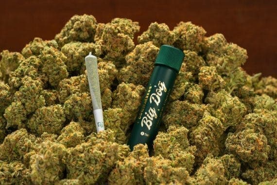 Dogwalkers .75g Big Dog Pre Rolls | Durban