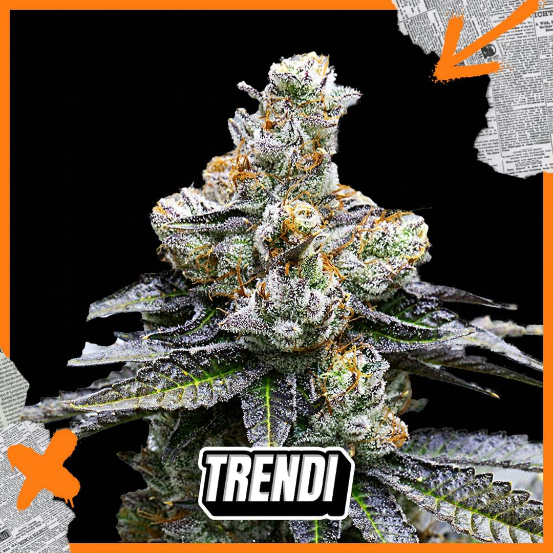 KOC Face on Fire #9 Prepack | 3.5g
