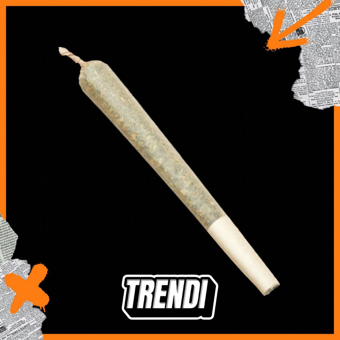 Primitivo Preroll | 1g
