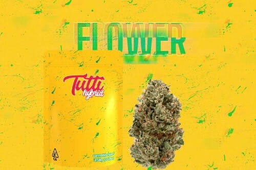White Widow - Flower - 1/8th