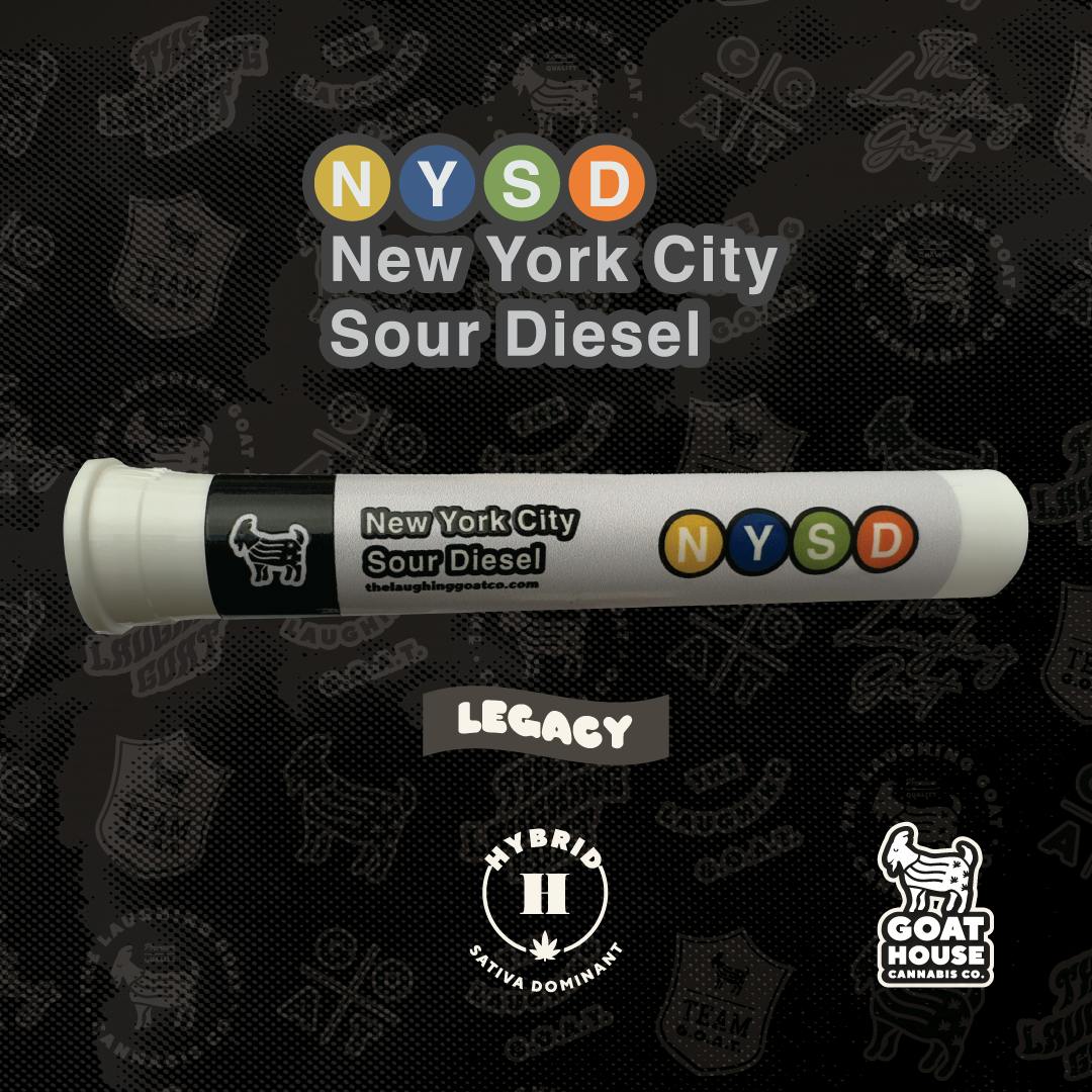 NYSD PRE ROLL