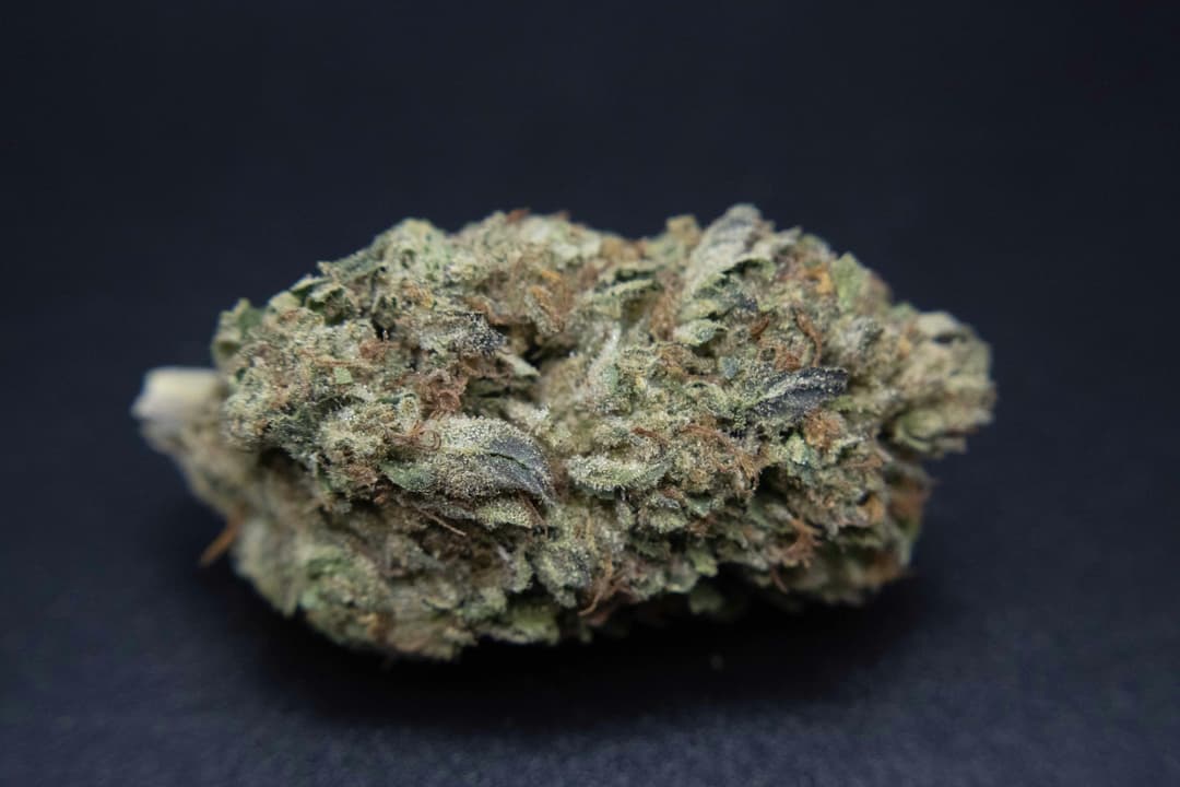 Forbidden Runtz 1/4 Ounce/7Grams(28%THC,HYBRID)