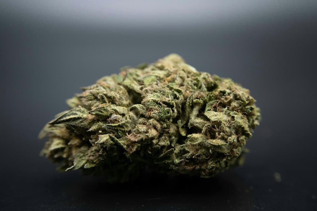 Caribbean Cookies Ounce/28.3Grams(27%THC, Hybrid)