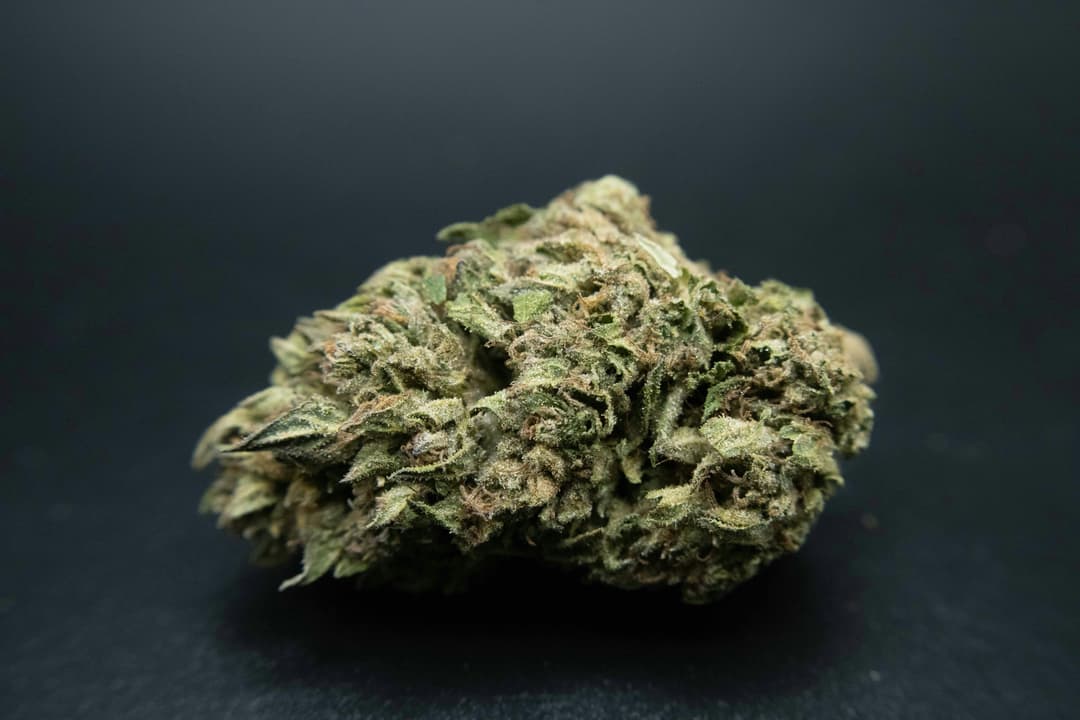 Caribbean Cookies 1/2 Ounce/14Grams(27%THC, Hybrid)