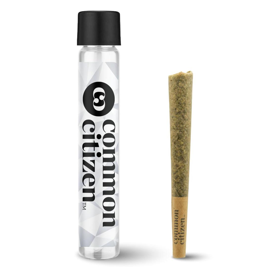 Common Citizen Orange Cake Pop Infused Pre-Roll 1g
