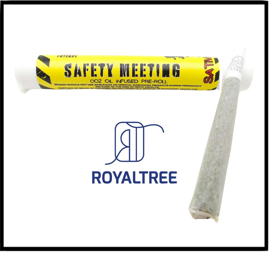 Safety Meeting - IPR - Lemon Skunk - (SH) - 2g
