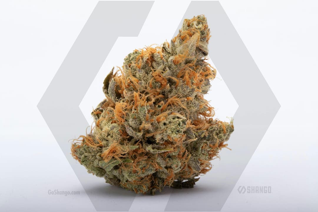 I95 Chem 1/4