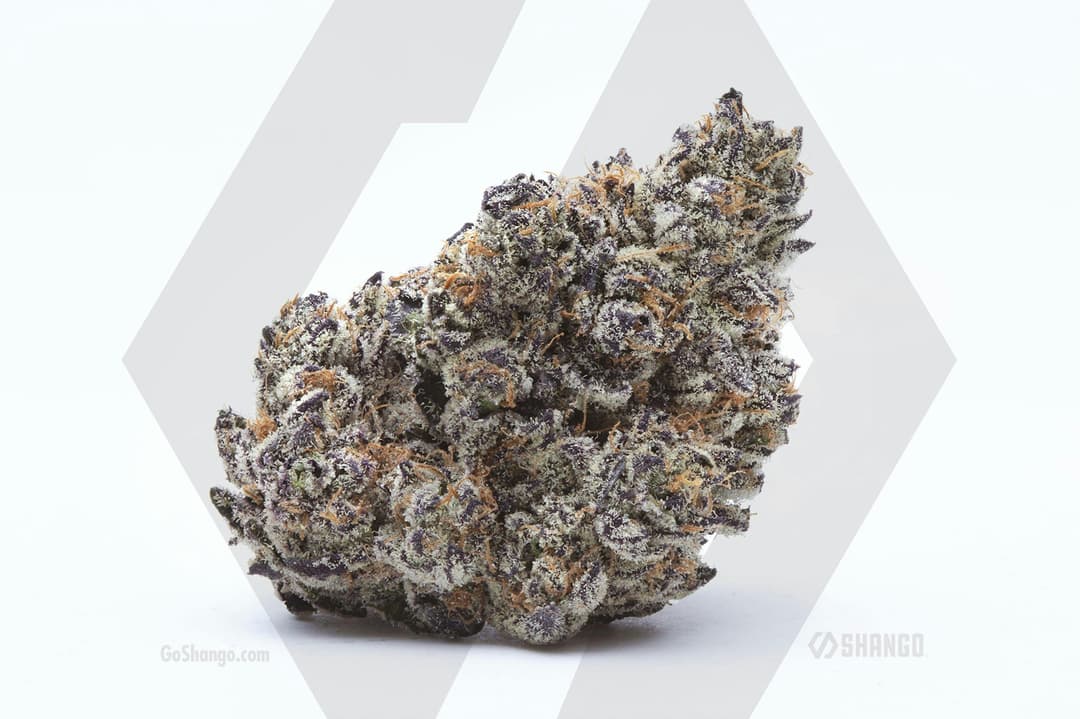 Ice Cream Cake 1/8