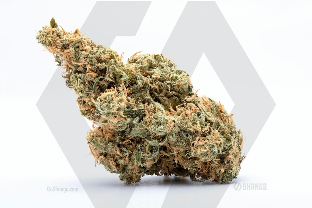 Sour Haze 1g