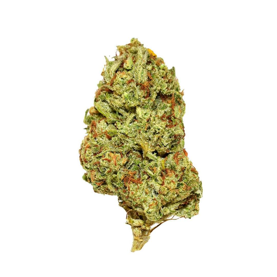 Black - Key Lime Pie (S) - 14g